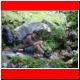 zinoedl_hochtor 2003_23.html